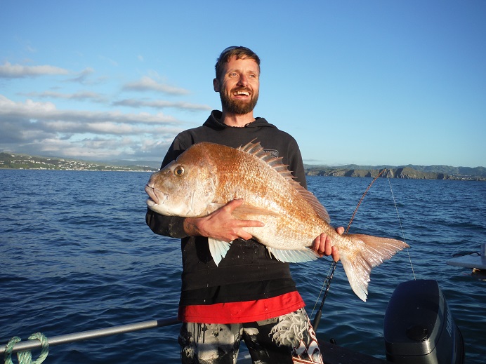 Wellington fish Photo Of The Month